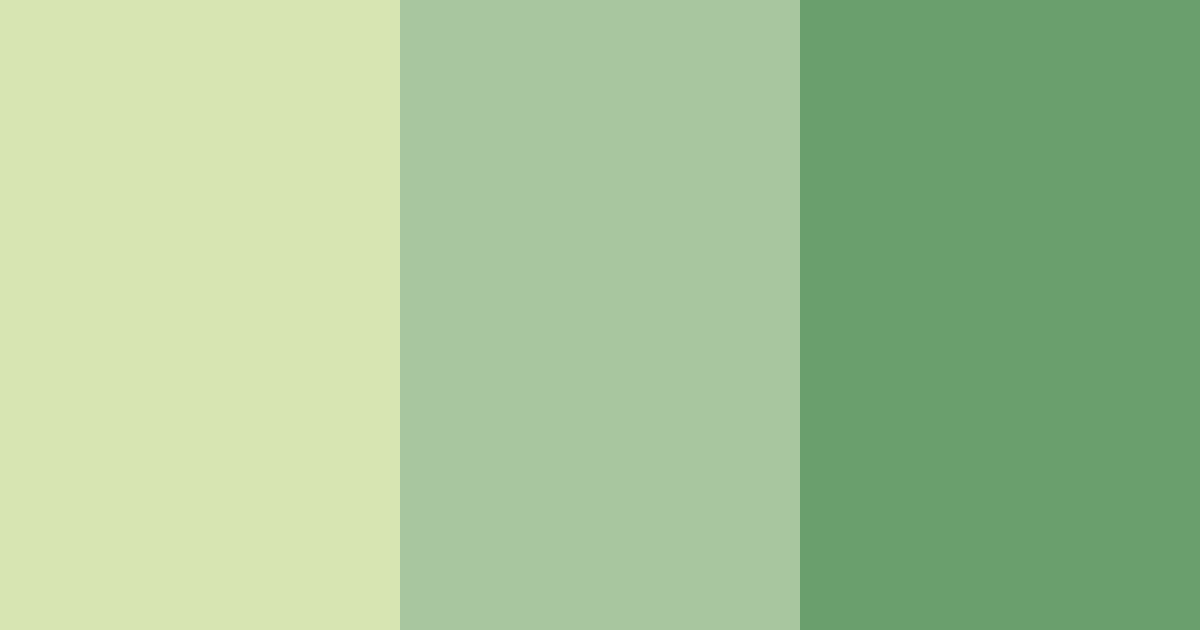 Download serene bamboo grove color palette PNG image (landscape)