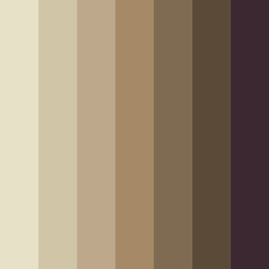 Download stone brown color palette PNG image (square)