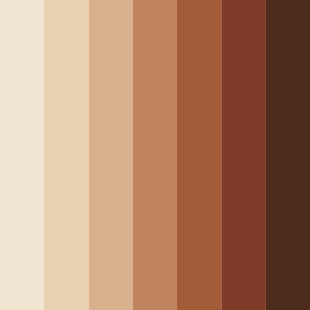 Download tropical shoreline color palette PNG image (square)