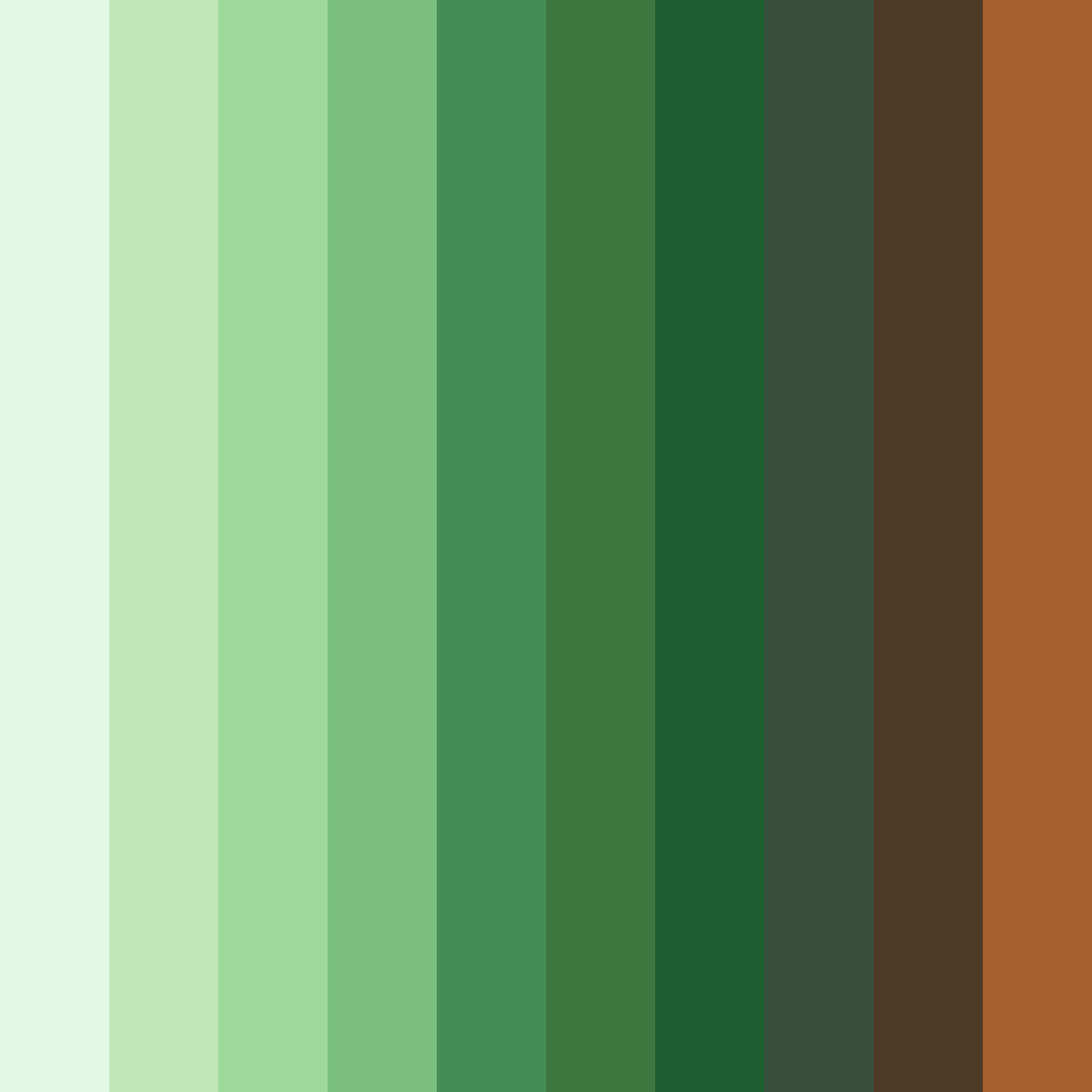 Download warm green bamboo color palette PNG image (square)