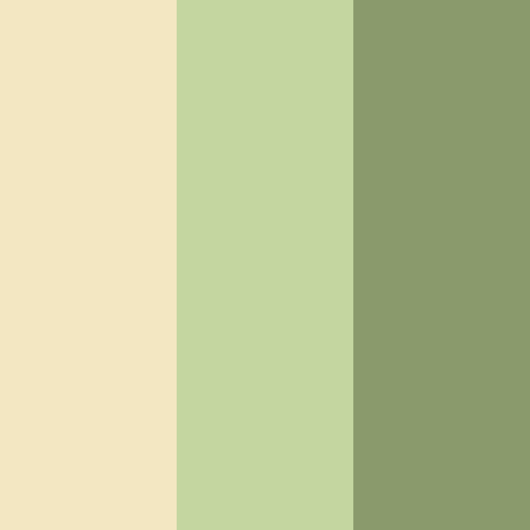 Download warm creamy gold green color palette PNG image (square)
