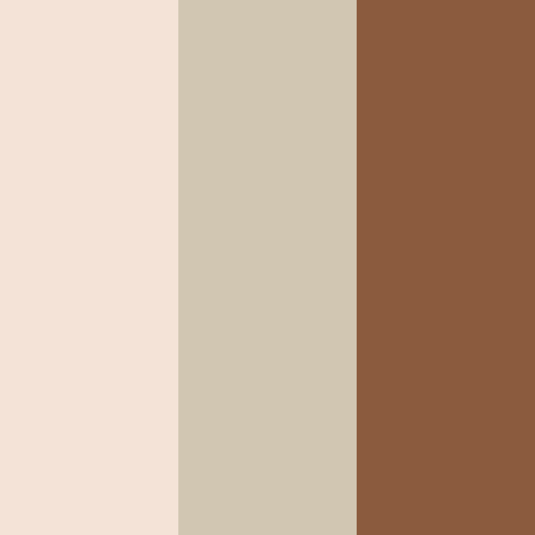 Download brown and white harmony color palette PNG image (square)