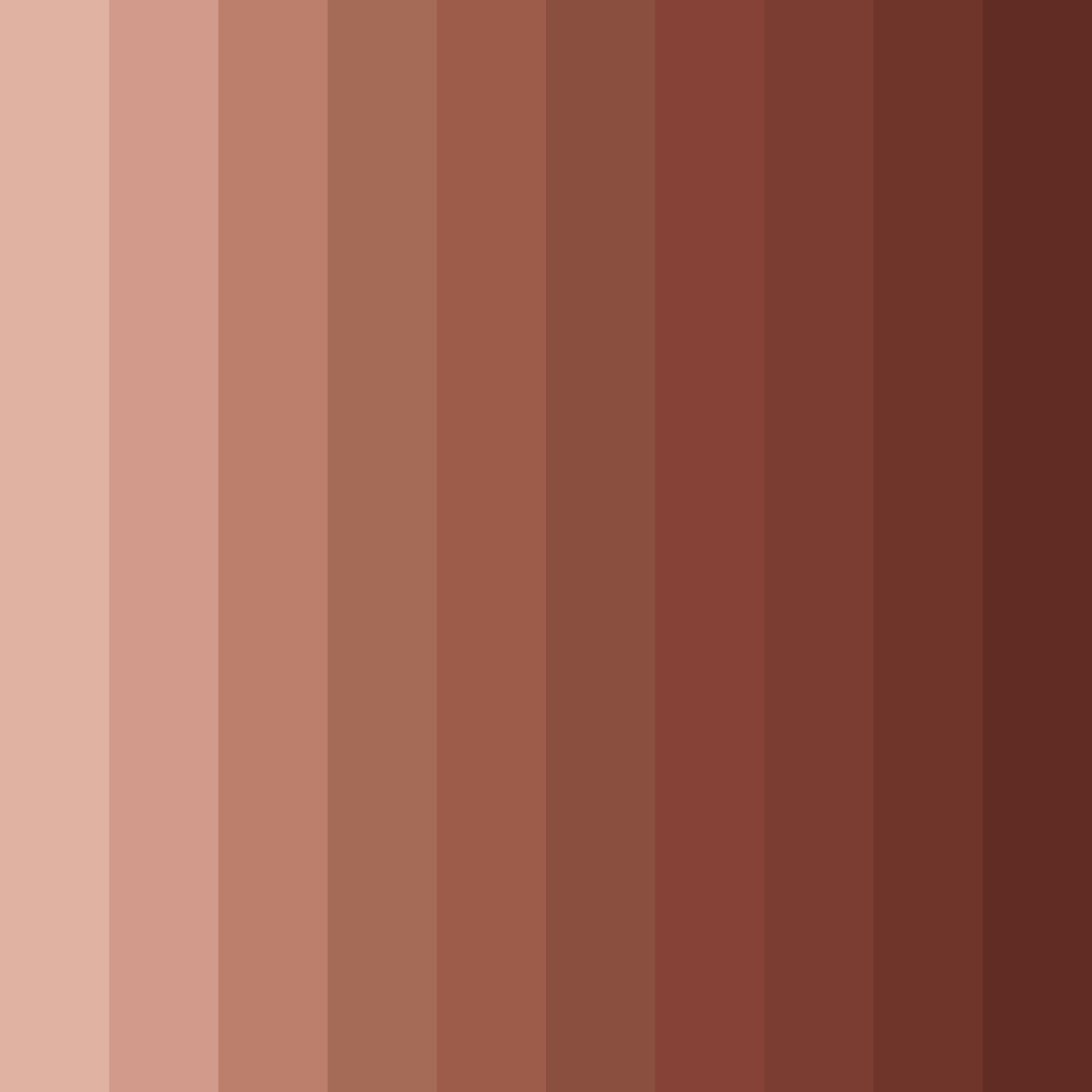 Download earthy rosewood color palette PNG image (square)