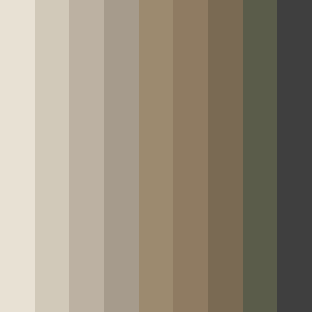 Download muted beige color palette PNG image (square)