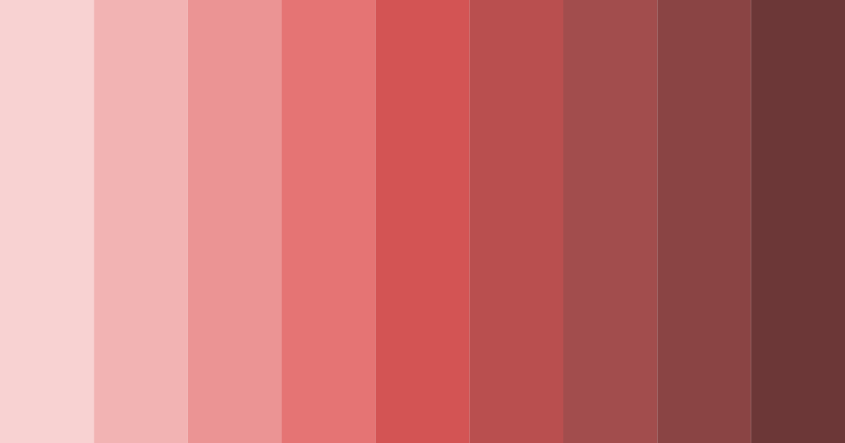 Download muted red shades color palette PNG image (landscape)