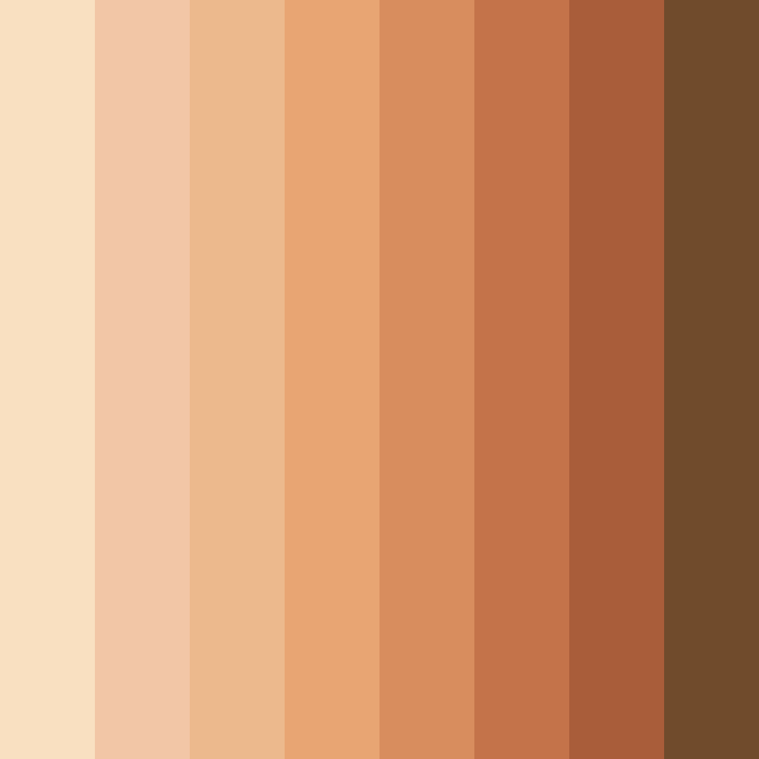 Download sunset whisper color palette PNG image (square)