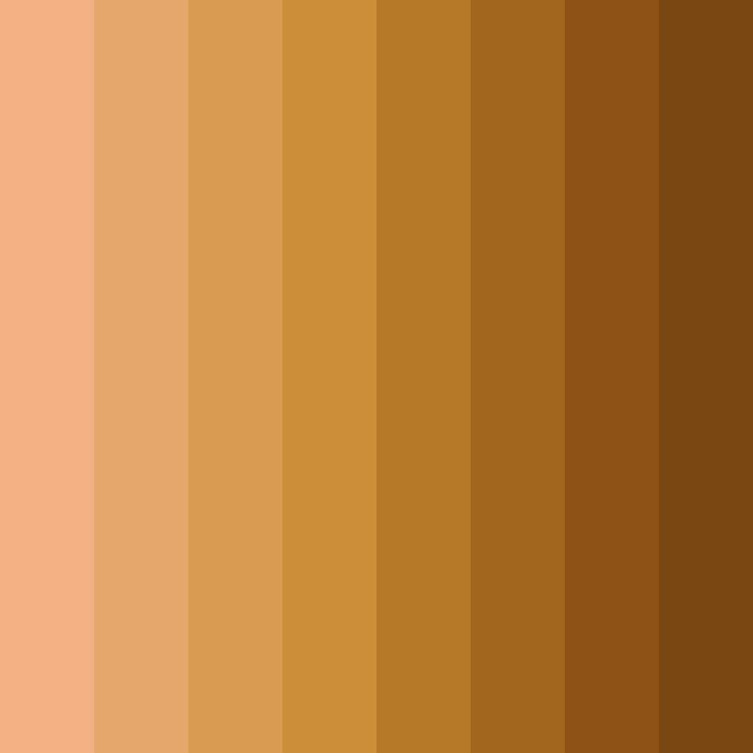 Download muted orange color palette PNG image (square)