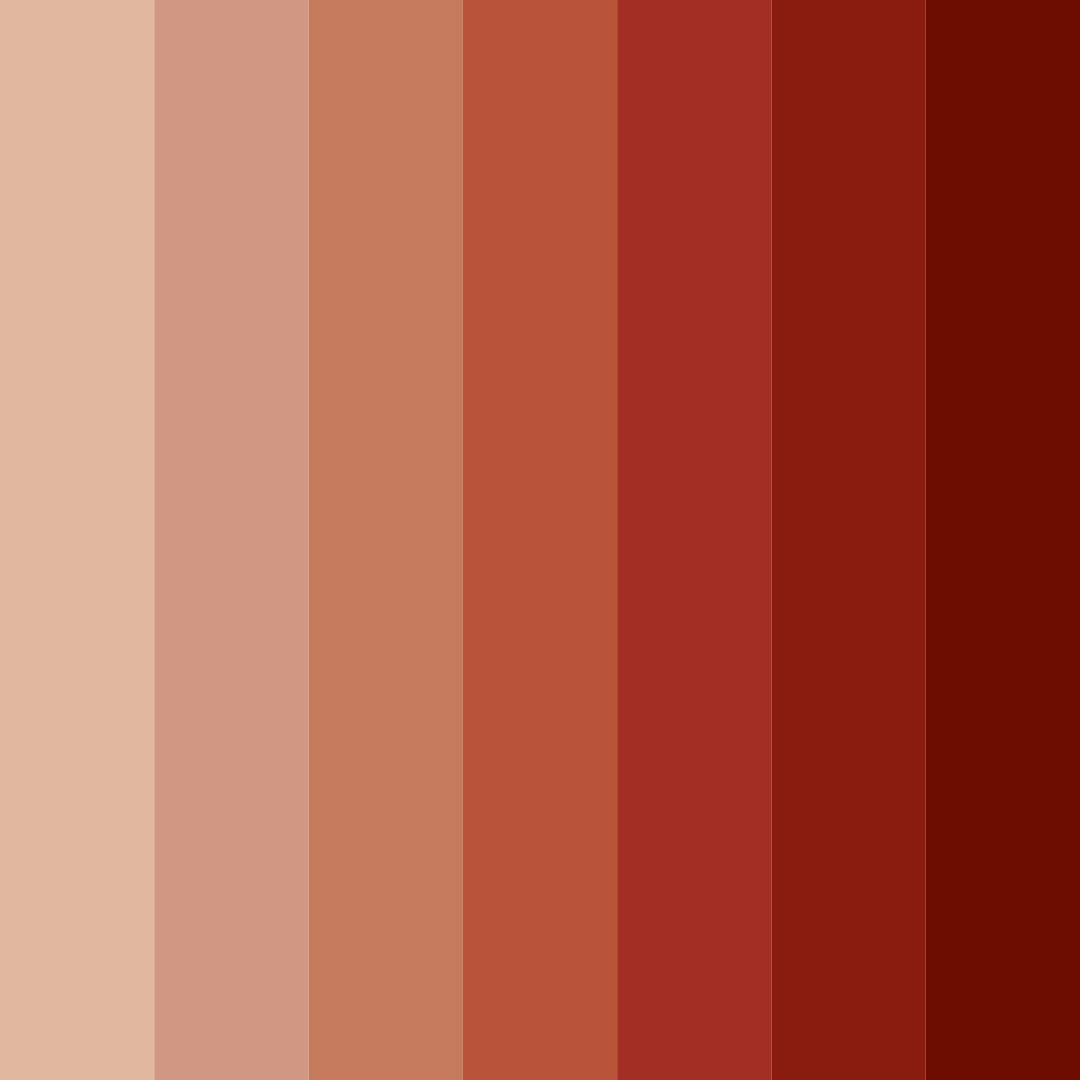 Download cedar red color palette PNG image (square)