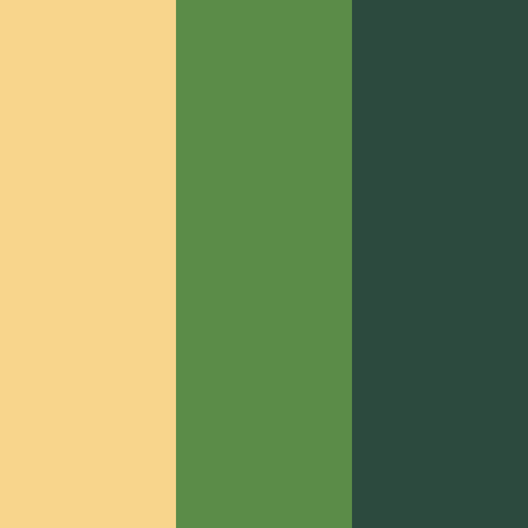 Download amber green mist color palette PNG image (square)