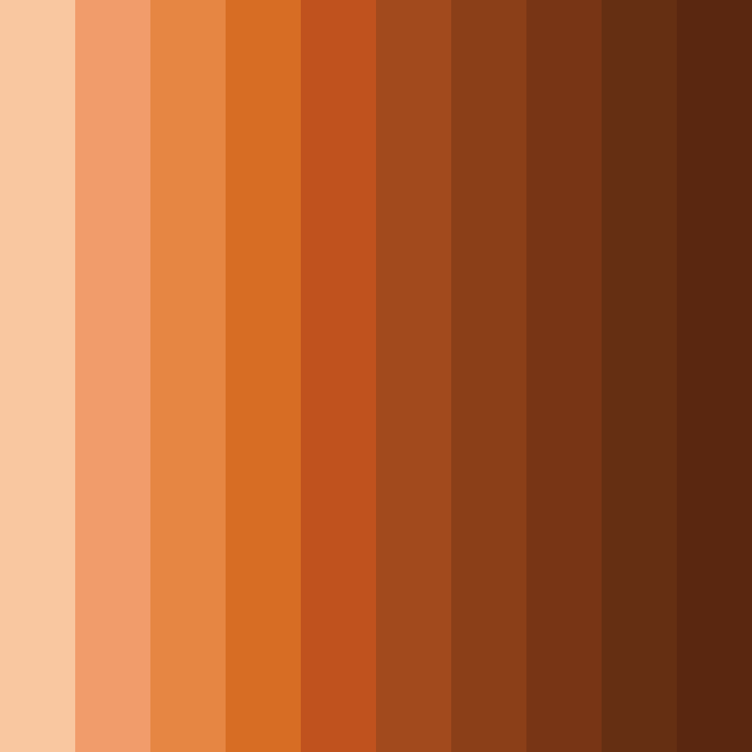 Download feline sunset color palette PNG image (square)