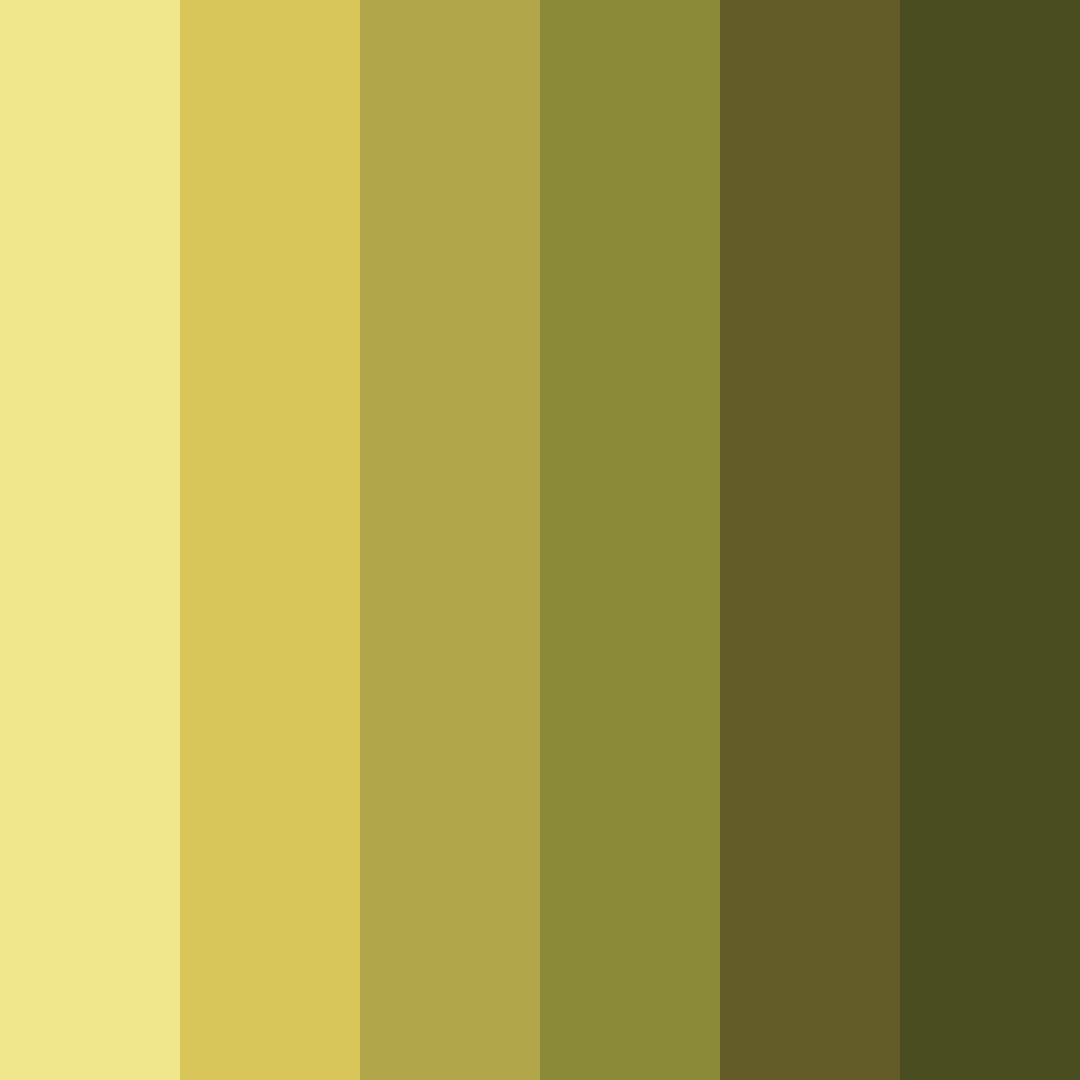 Download sunset over moss color palette PNG image (square)