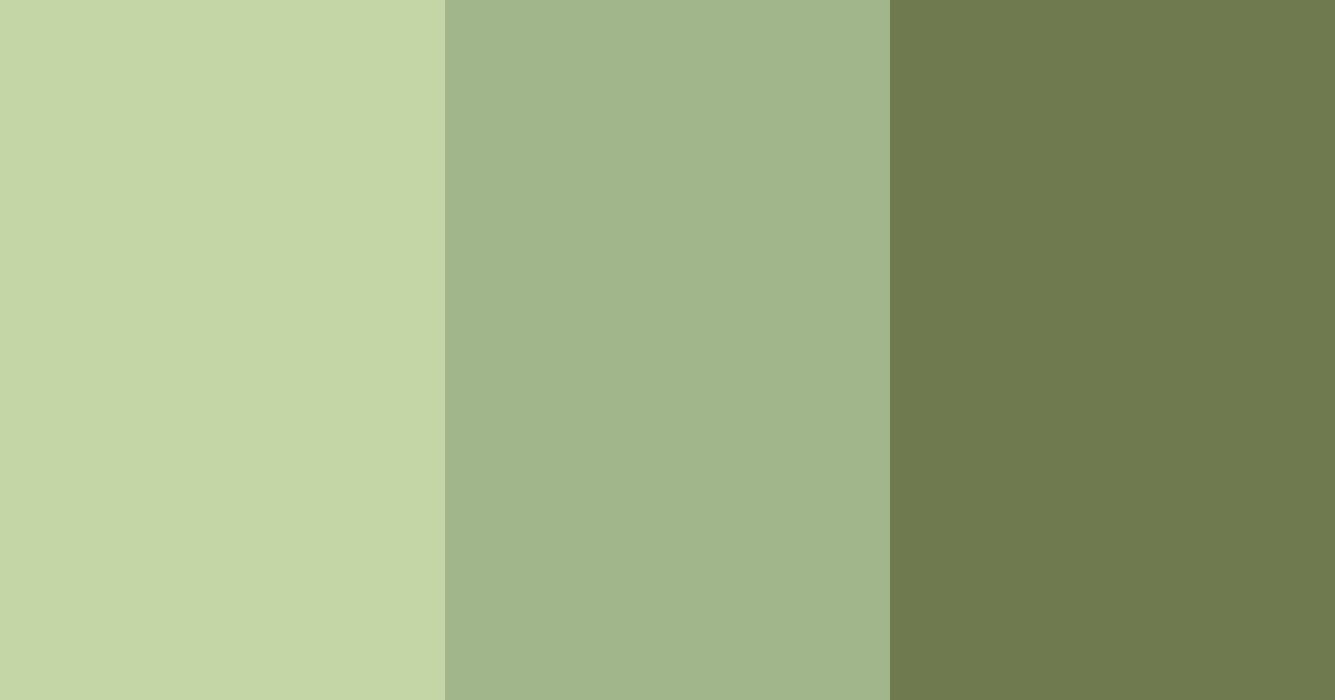 Download muted olive green color palette PNG image (landscape)