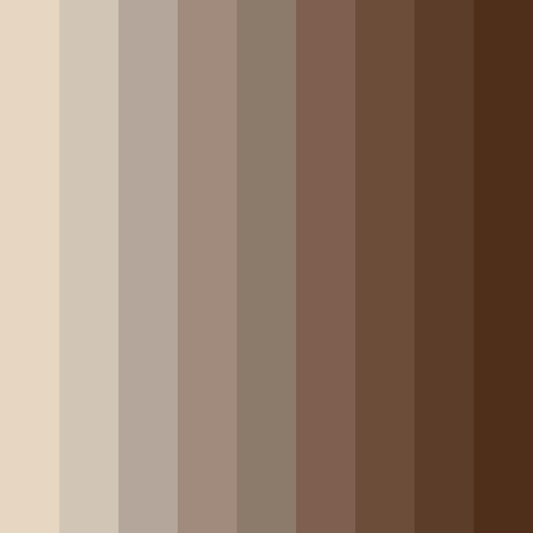Download warm brown neutrals color palette PNG image (square)