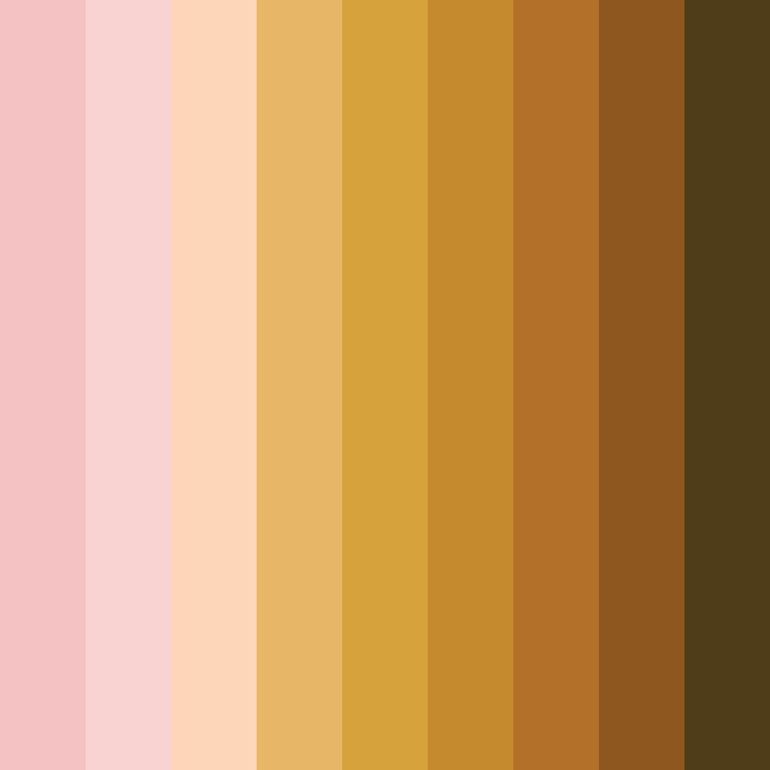Download contrasting harmony color palette PNG image (square)