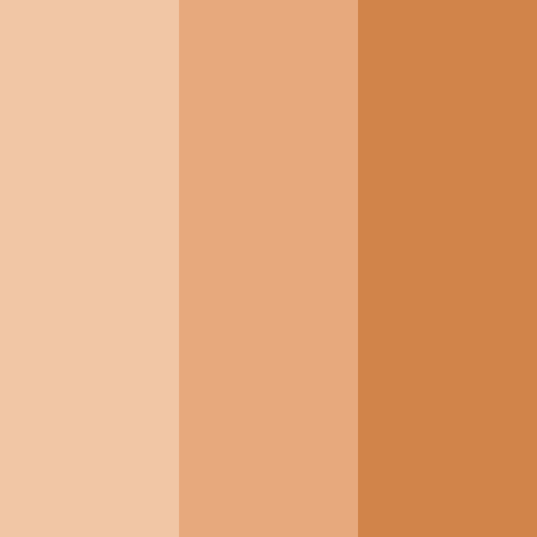 Download light orange skin color palette PNG image (square)