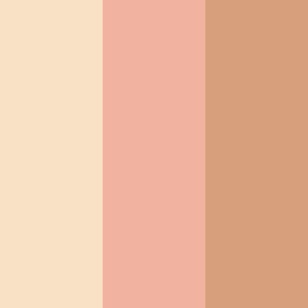 Download peachy warmth color palette PNG image (square)