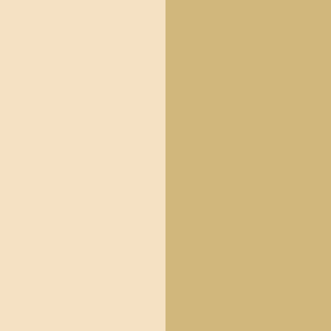Download sandy elegance color palette PNG image (square)