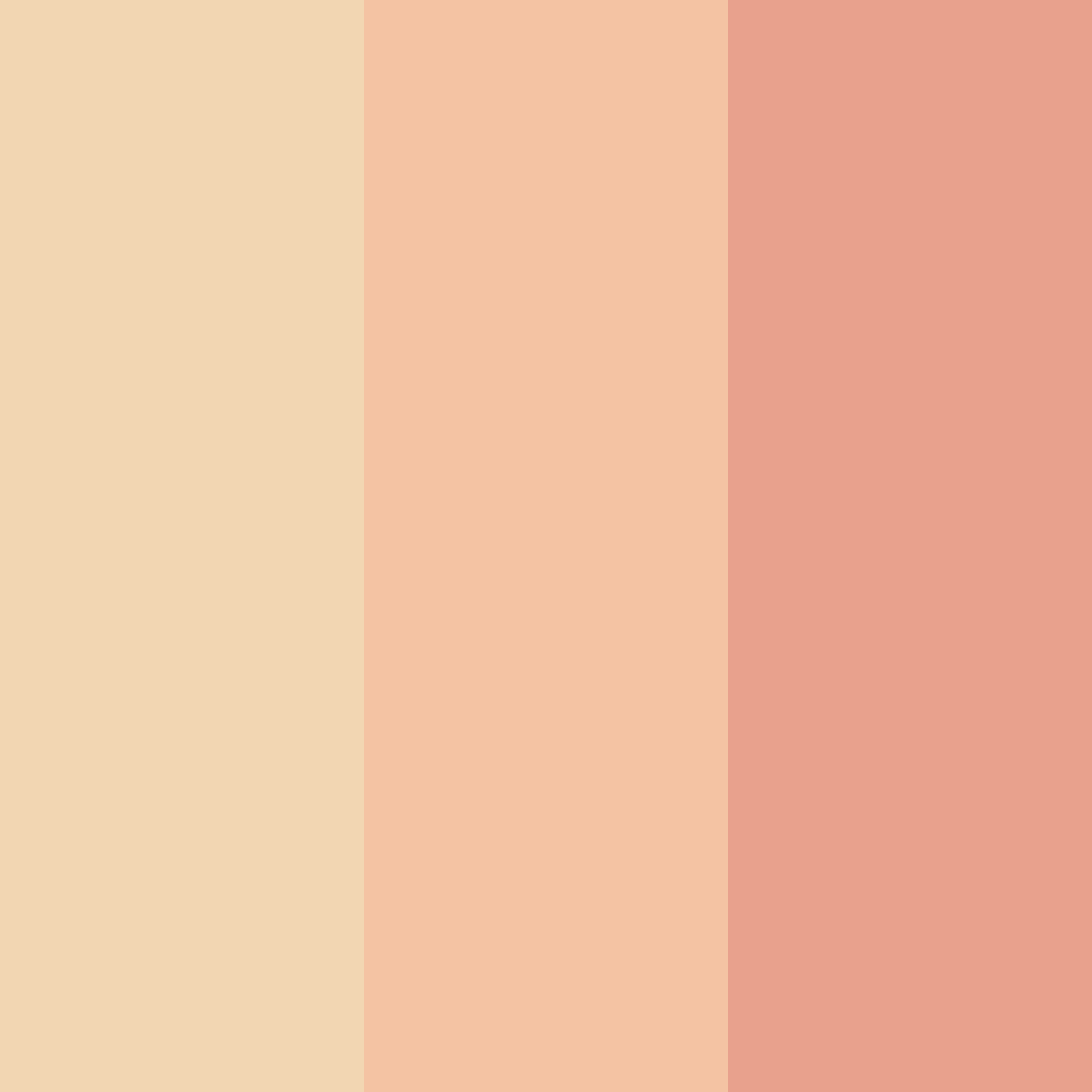 Download peachy honey color palette PNG image (square)