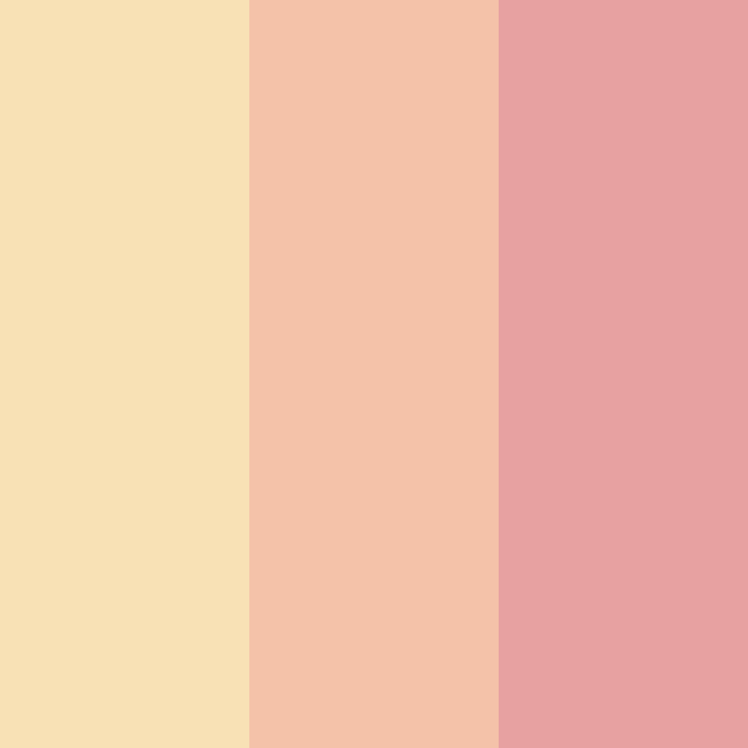 Download honeyed blush color palette PNG image (square)