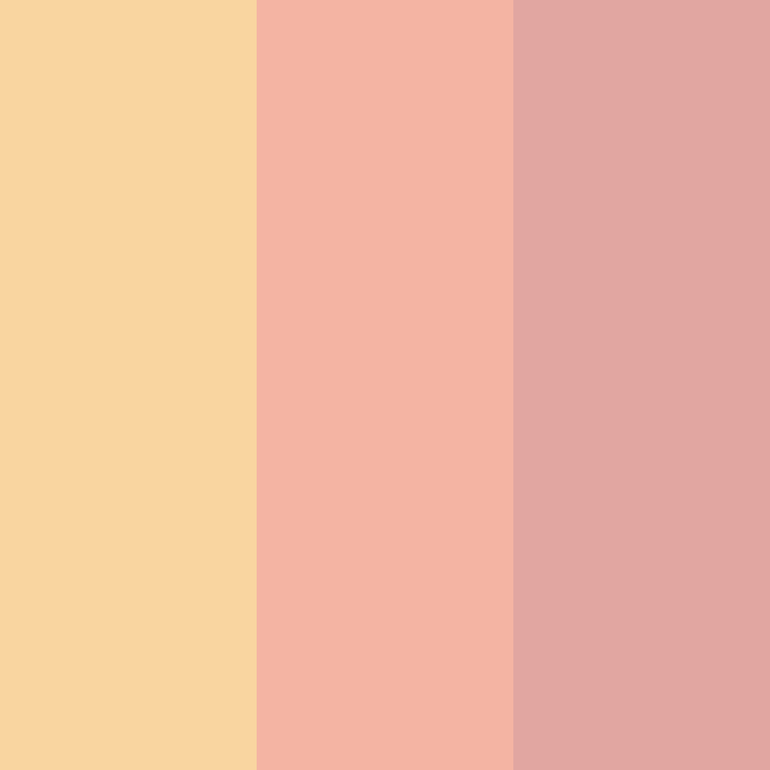Download peachy warmth color palette PNG image (square)