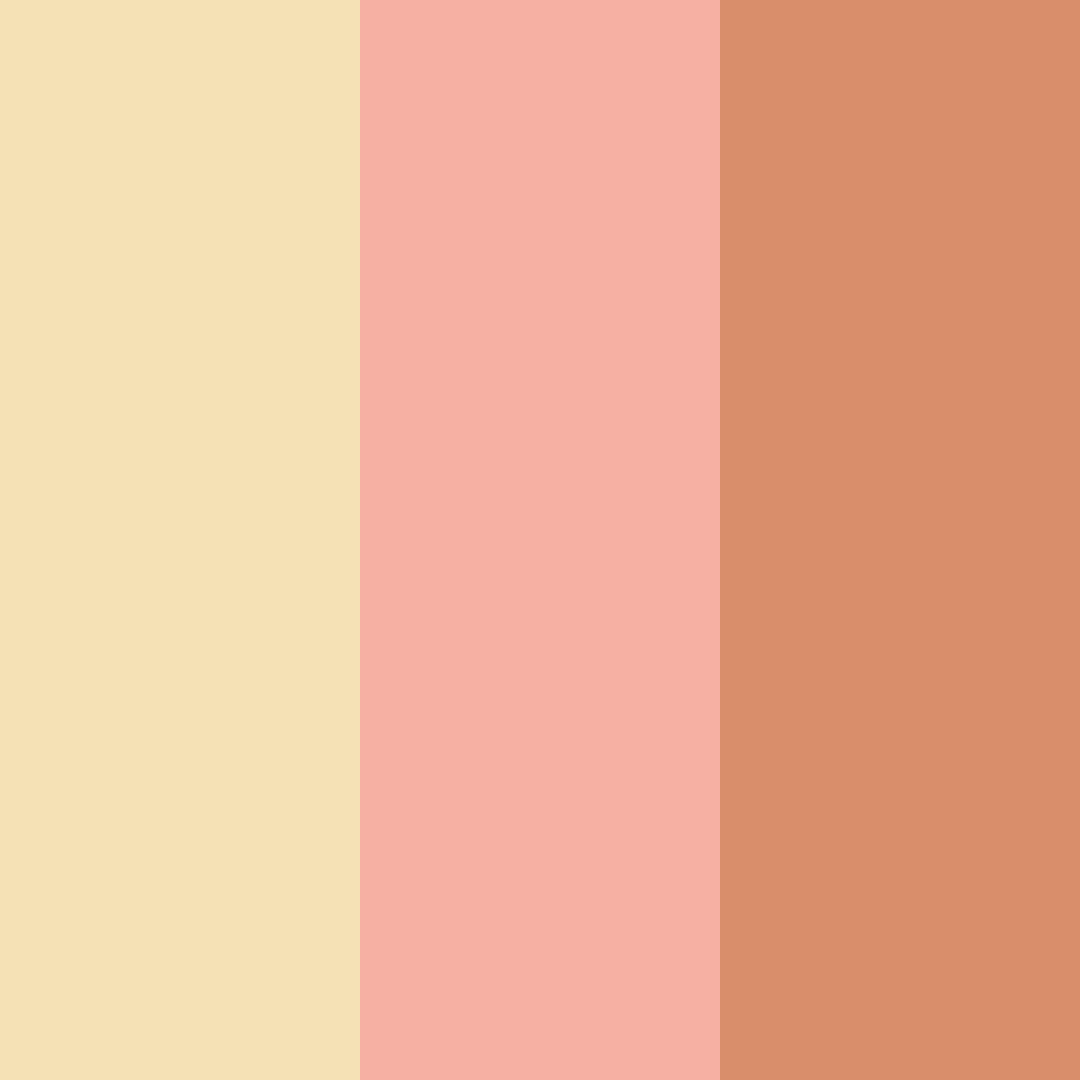 Download peachy warmth color palette PNG image (square)