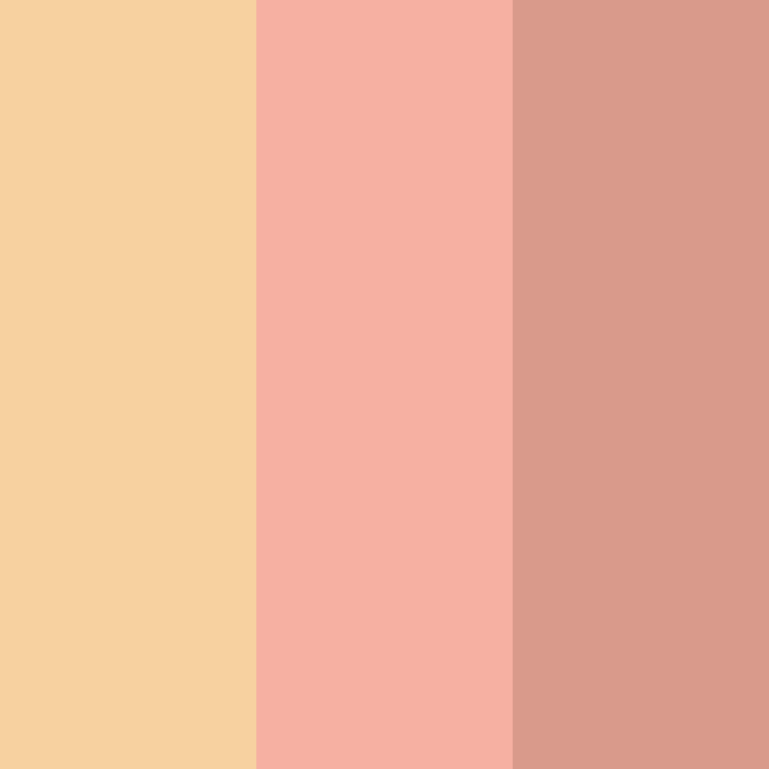 Download peachy warmth color palette PNG image (square)