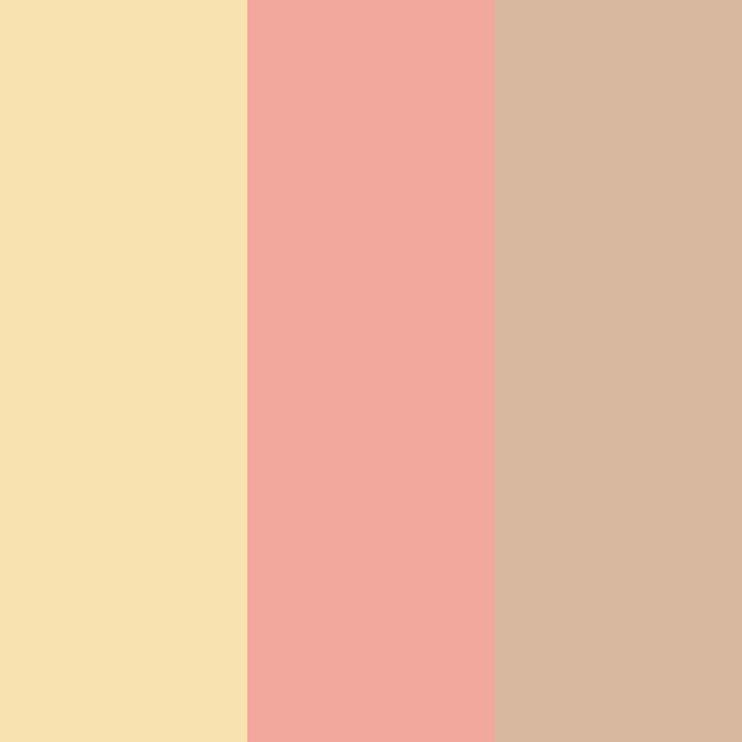 Download warm peach color palette PNG image (square)