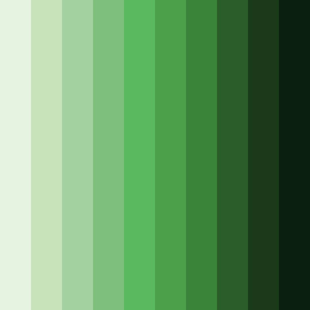 Download emerald awakening color palette PNG image (square)