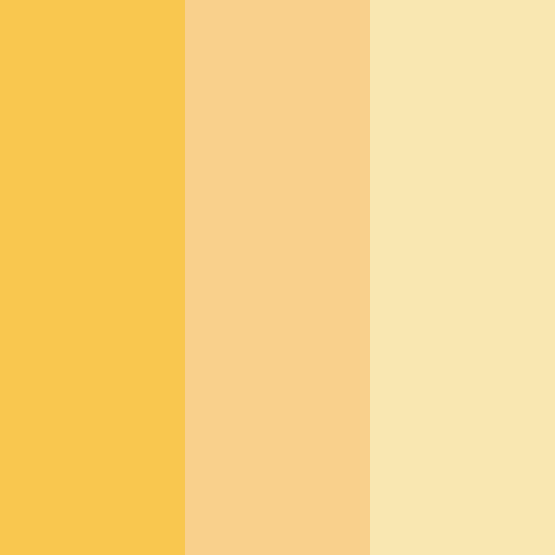 Download sunny meadow bliss color palette PNG image (square)