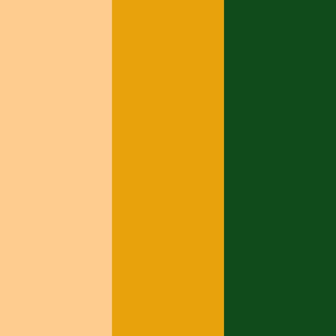 Download autumn harvest color palette PNG image (square)