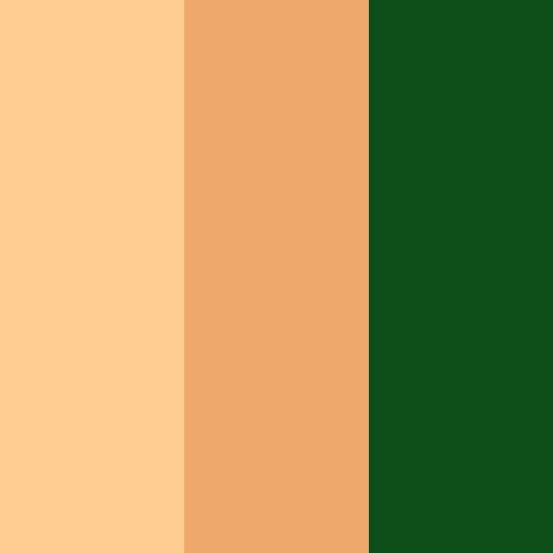 Download harvest harmony color palette PNG image (square)
