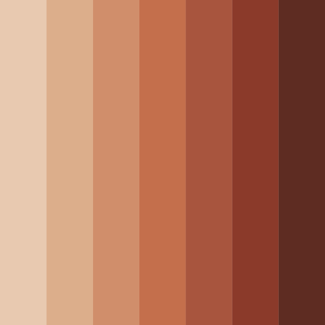 Download terracotta shades color palette PNG image (square)