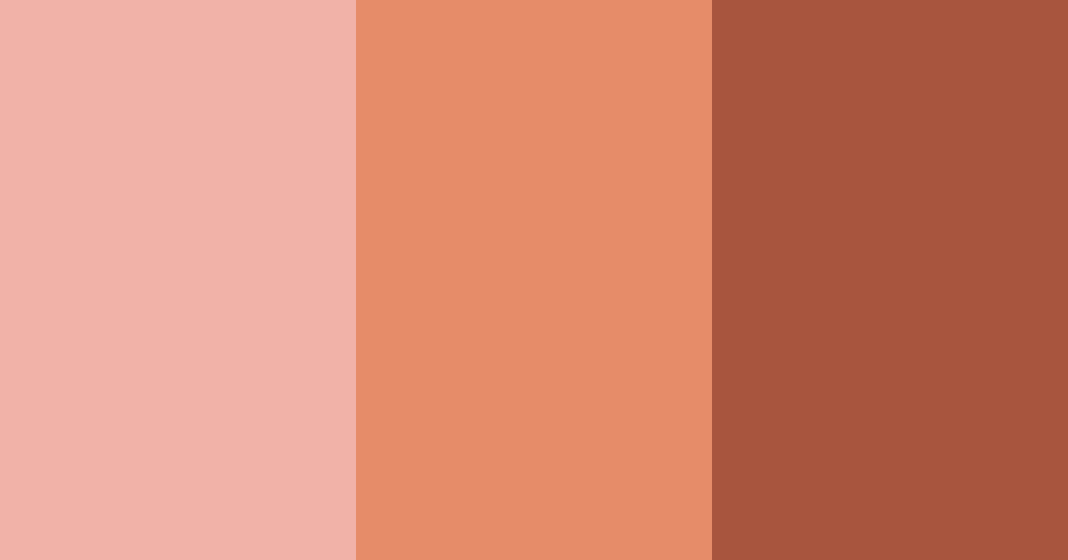 Download warm terracotta color palette PNG image (landscape)