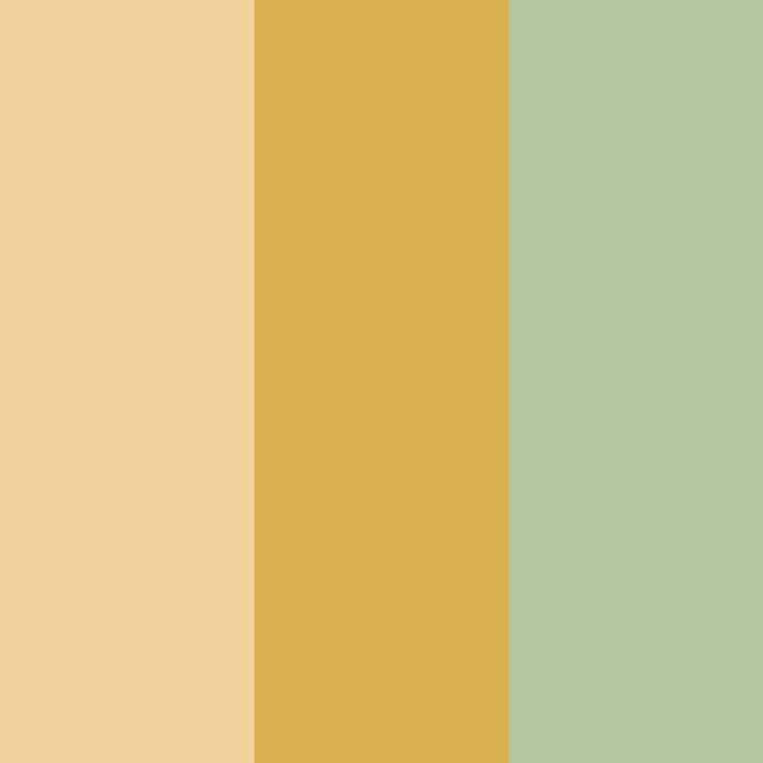 Download honeyed mint oasis color palette PNG image (square)