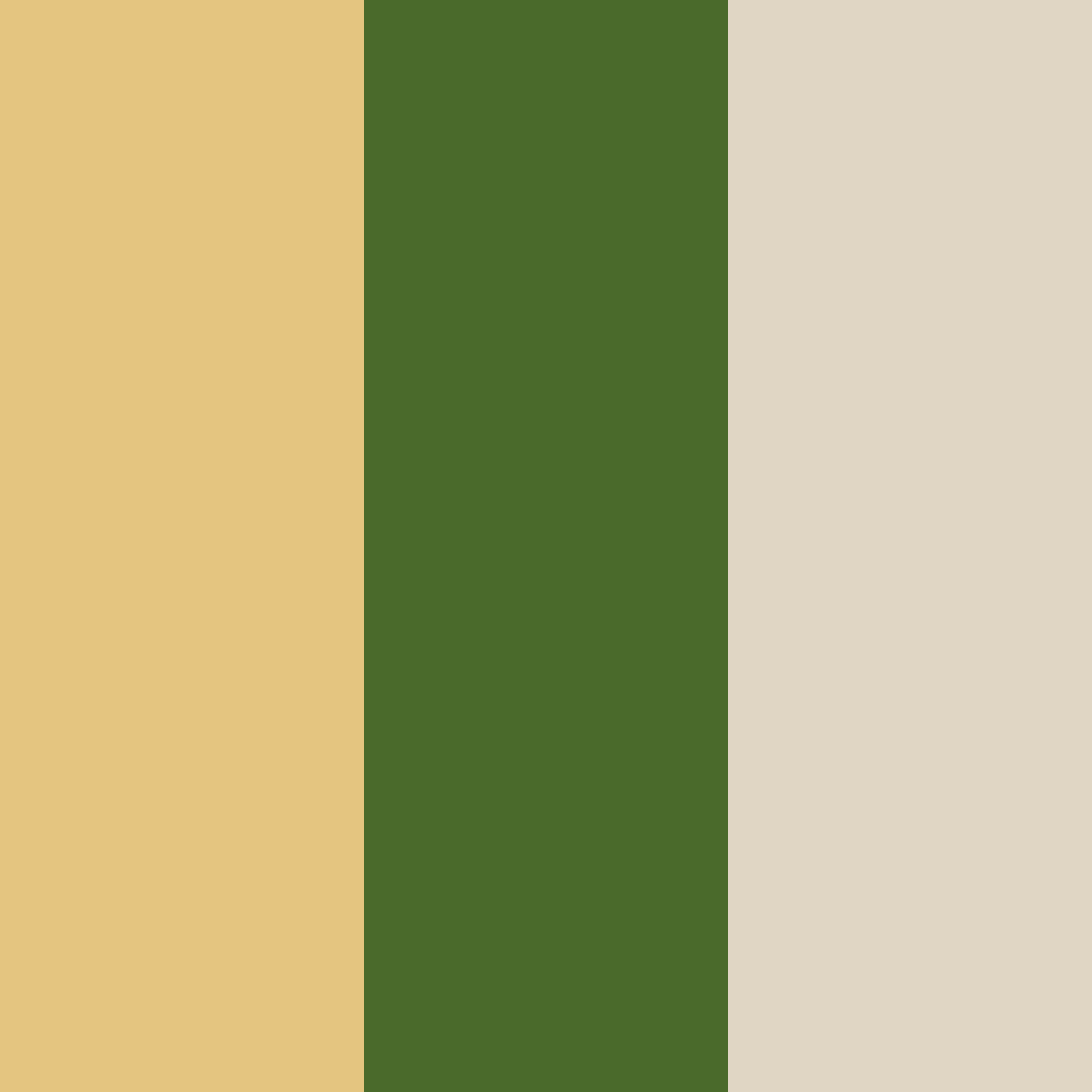 Download meadow embrace color palette PNG image (square)