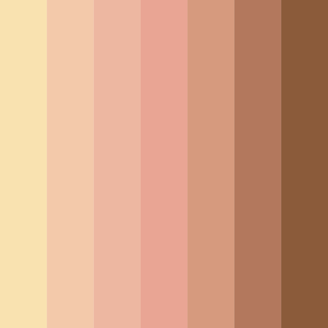 Download light tan color palette PNG image (square)