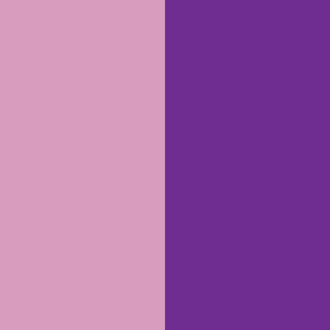 Download red violet dream color palette PNG image (square)