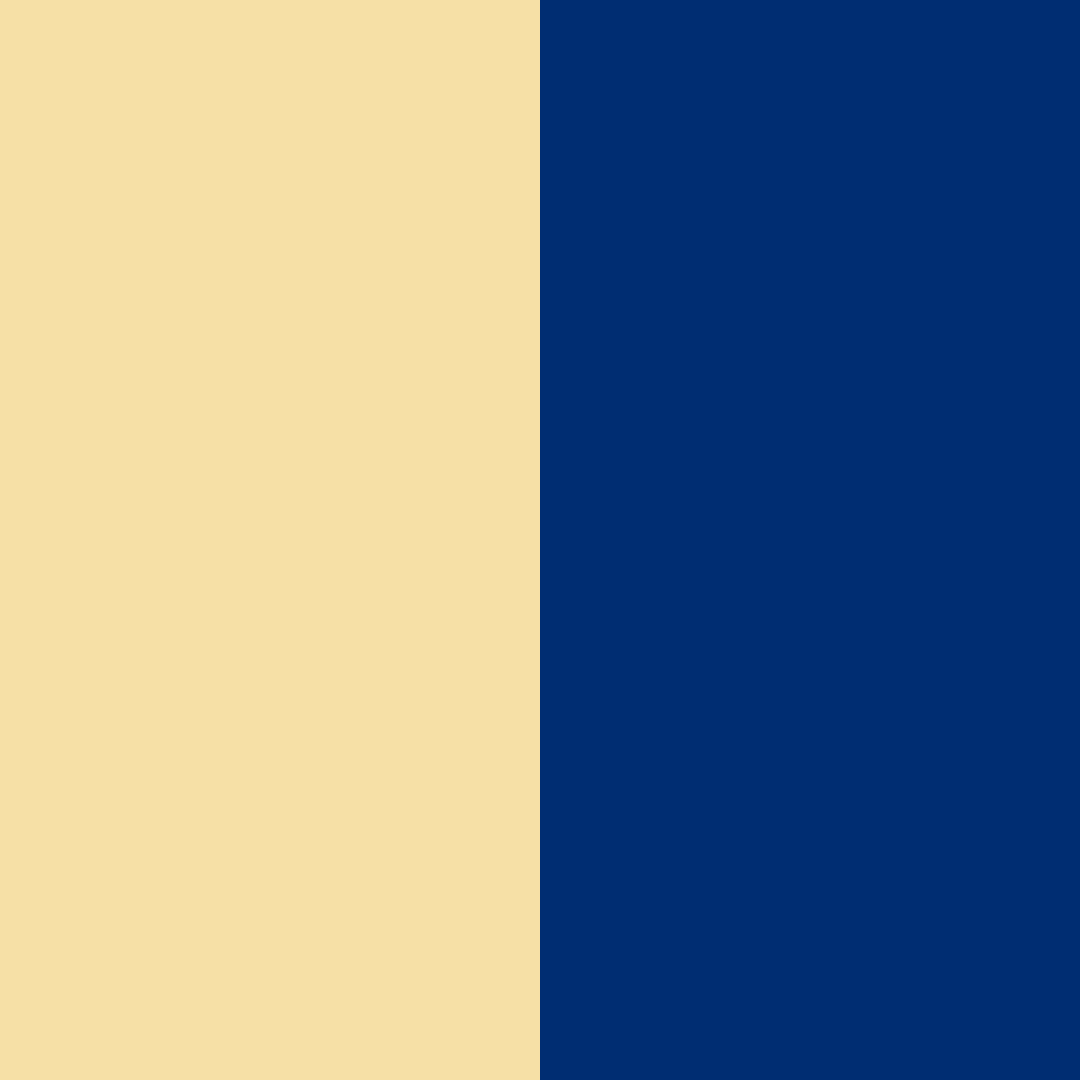 Download navy blue and soft yellow color palette PNG image (square)