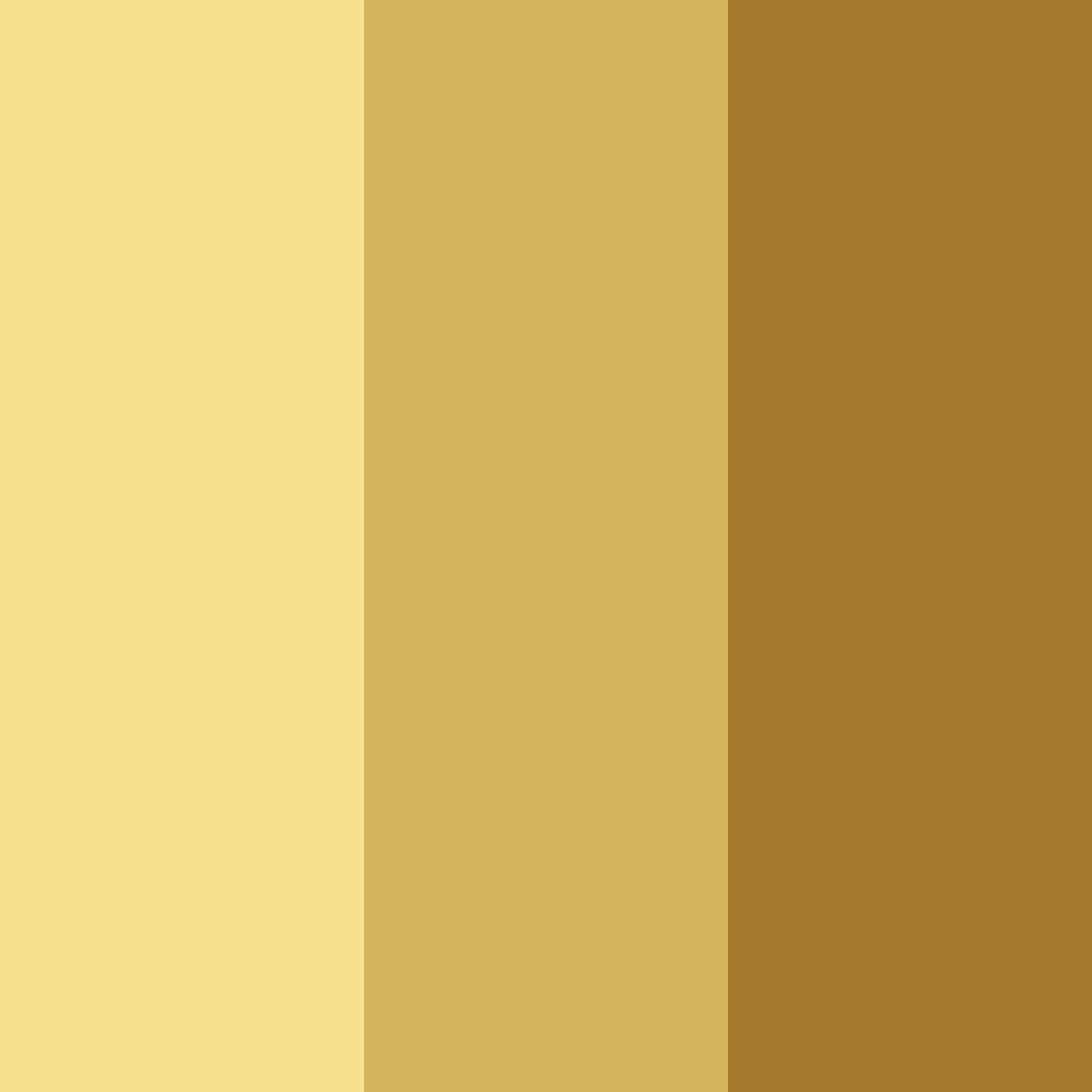 Download golden shades color palette PNG image (square)