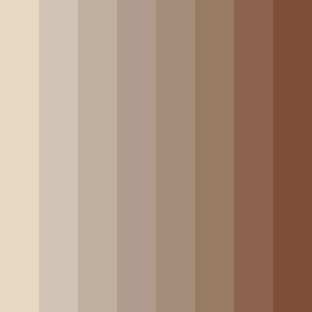 Download soft brown shades color palette PNG image (square)
