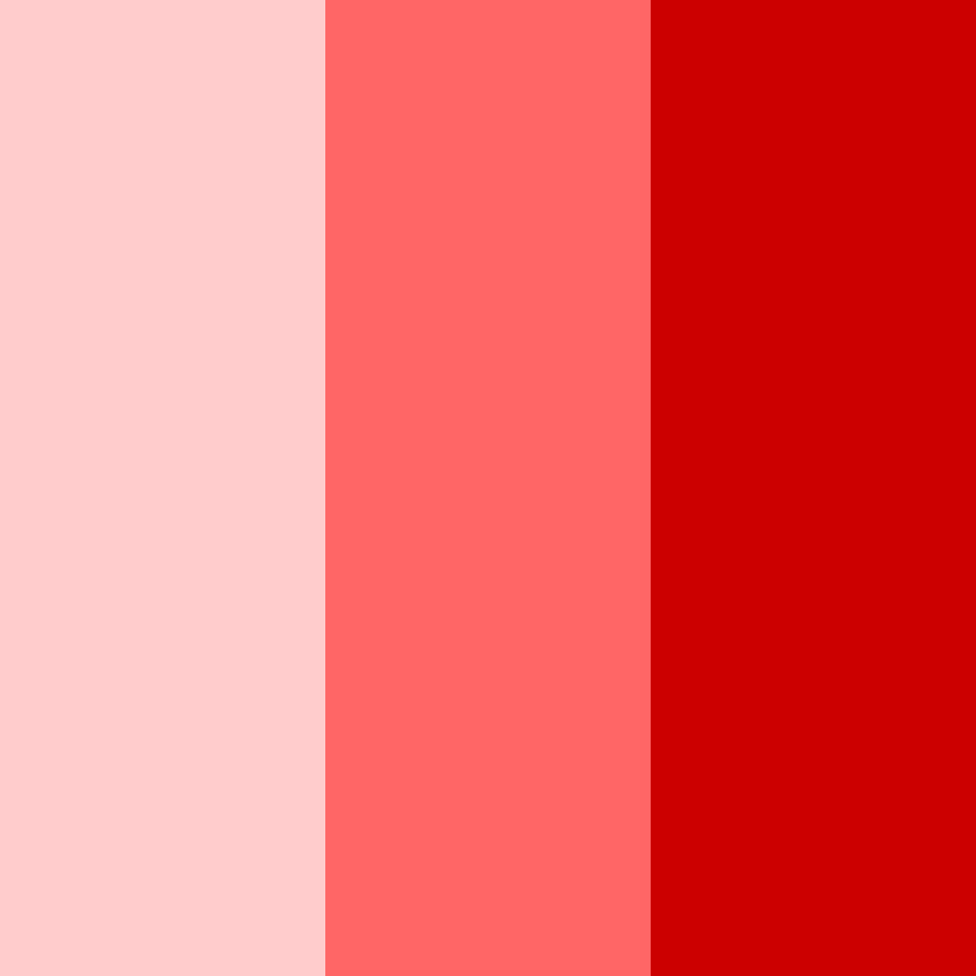 Download cherry blossom ember color palette PNG image (square)