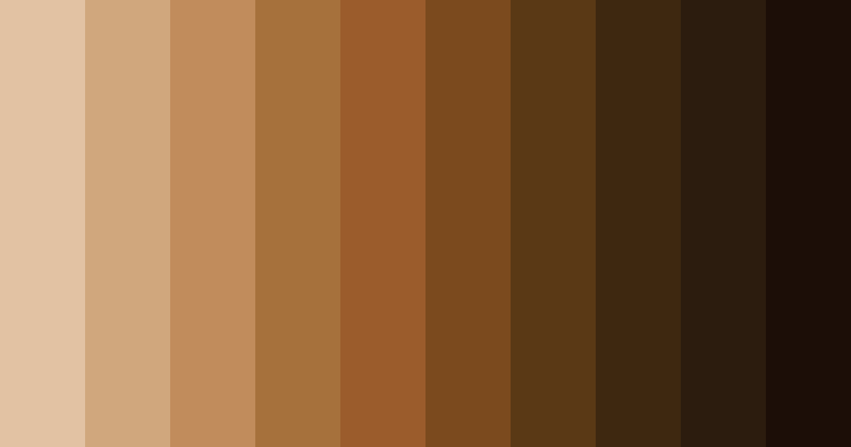 Download earthy brown color palette PNG image (landscape)