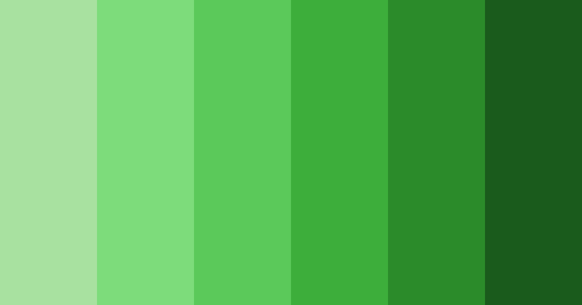 Download emerald canopy color palette PNG image (landscape)