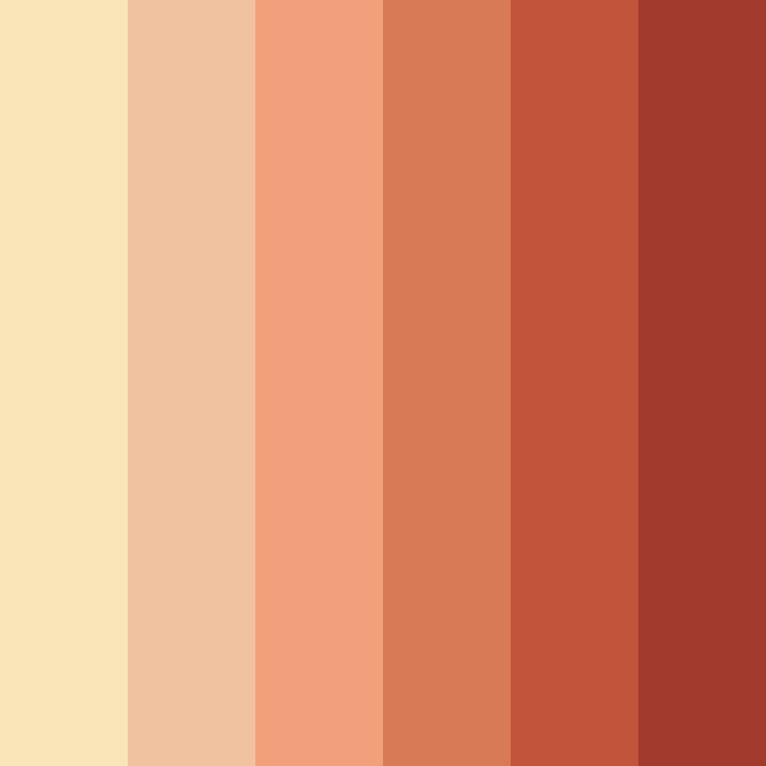 Download sunkissed warmth color palette PNG image (square)