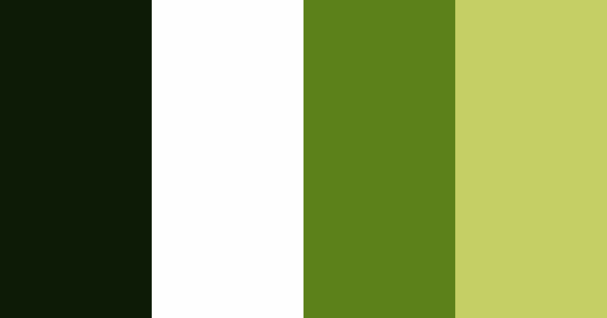 Download mossy meadow color palette PNG image (landscape)