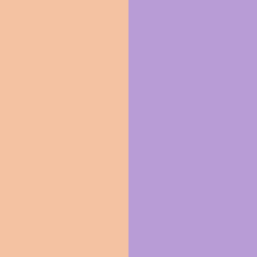Download sunset blossom color palette PNG image (square)
