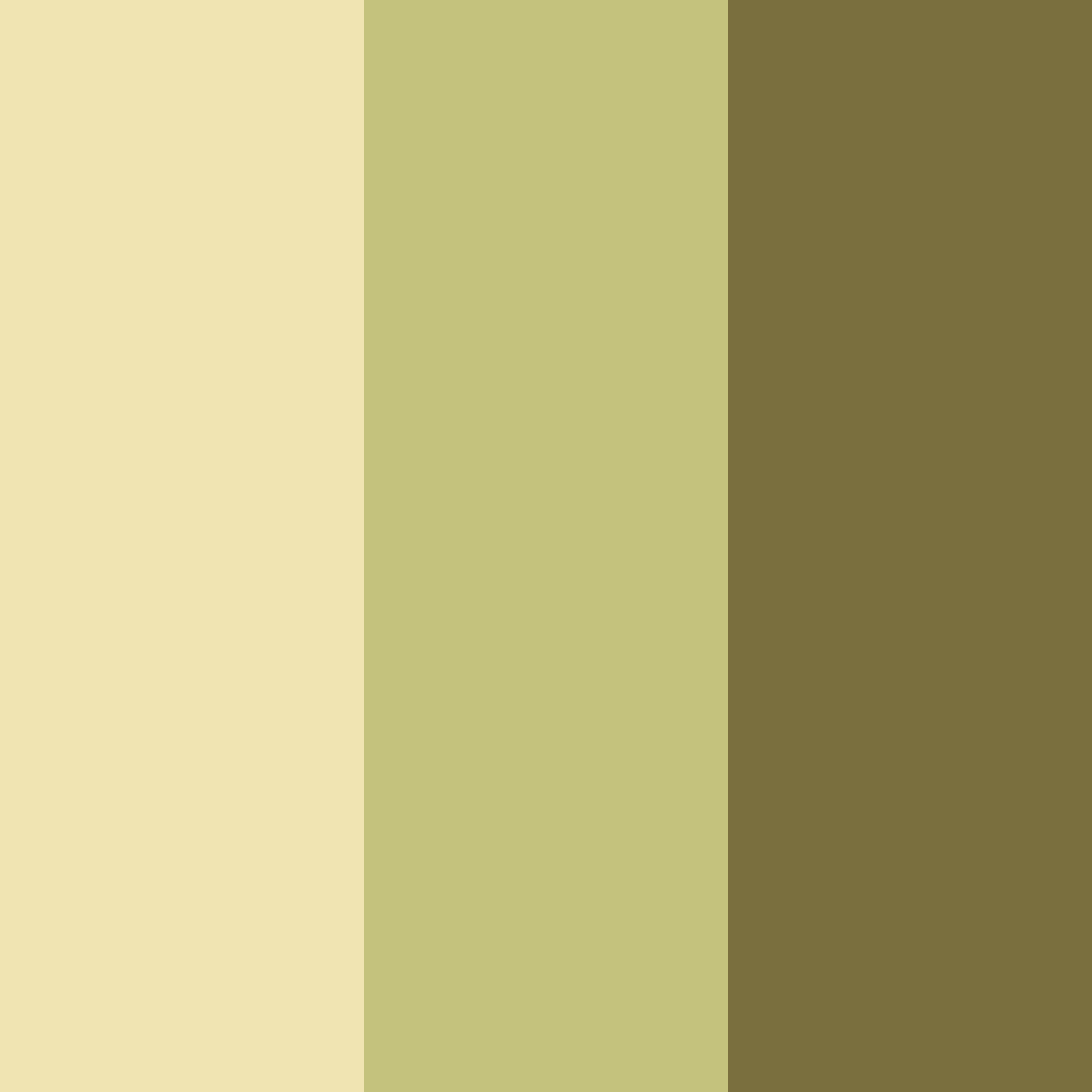 Download golden meadow whisper color palette PNG image (square)