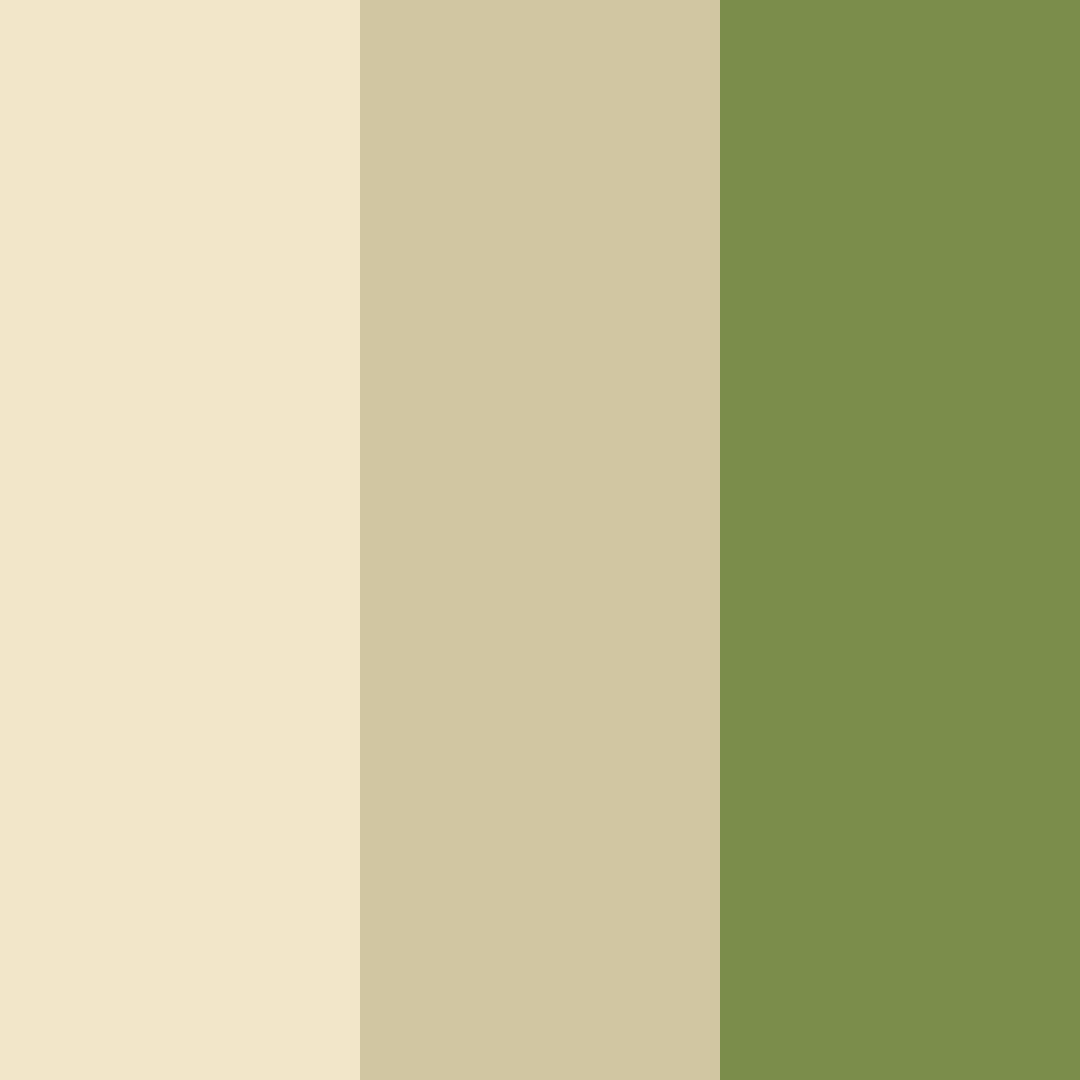 Download golden meadow whisper color palette PNG image (square)