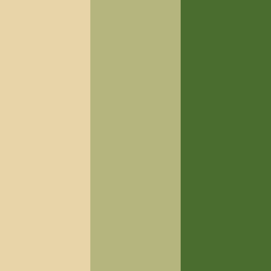 Download golden green color palette PNG image (square)