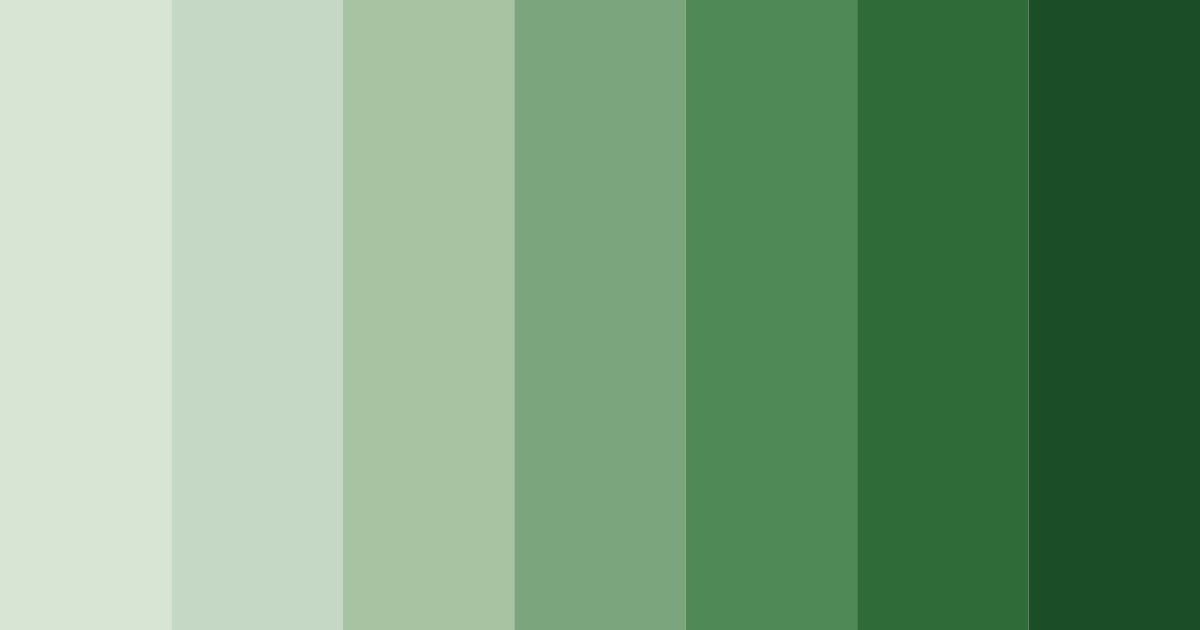 Download muted green serenity color palette PNG image (landscape)